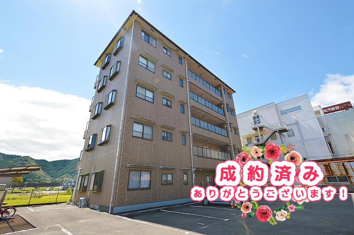 viewajisai-seiyaku-01